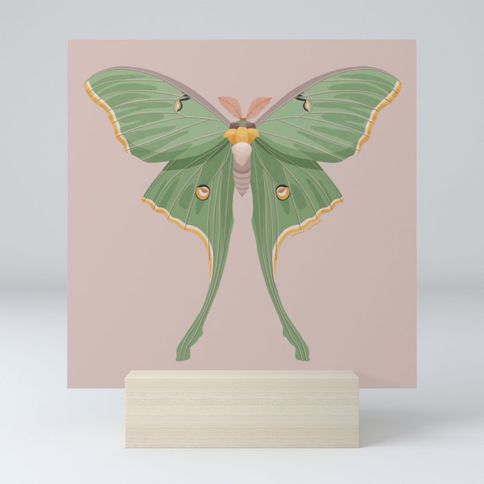 Luna Moth Mini Art Print
