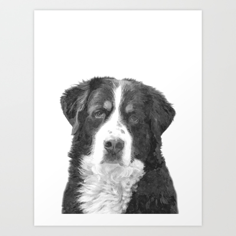 Black And White Bernese Mountain Dog Art Print By Alemi Society6