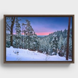 Winter view Framed Canvas