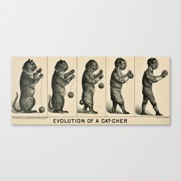 Evolution of a catcher Canvas Print