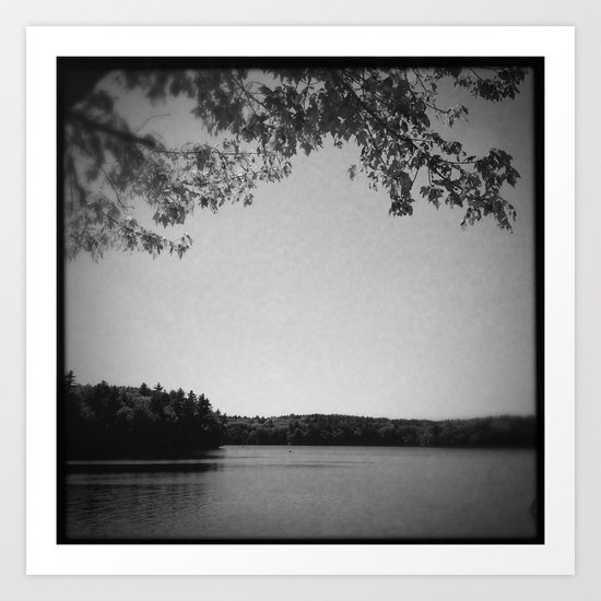 On the bank of Walden Pond Art Print