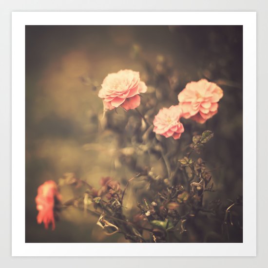 Romantic Vintage Roses (Vintage Flower Photography) Art Print