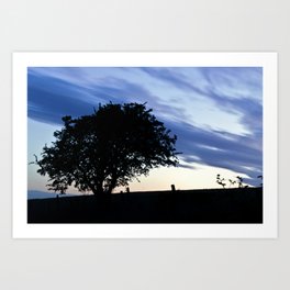 silhouette of a tree at sunrise long exposure Art Print