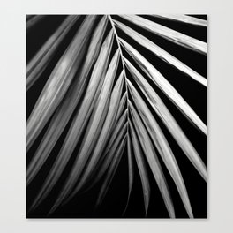 Palm Leaf Delight #3 #tropical #decor #art #society6 Canvas Print