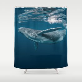 A Baby Humpback Whale Plays Near the Surface in Blue Water Shower Curtain