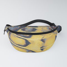 Abstract of X-Ray Fanny Pack