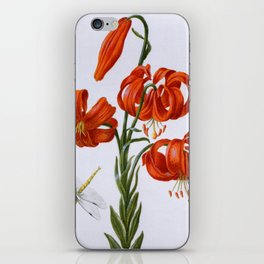 Red Lily antique 1680 iPhone Skin