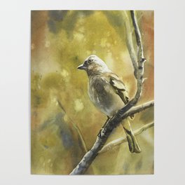 Bird sitting on branch.  Small bird artwork home decor bokeh blurry background green nature artwork Poster