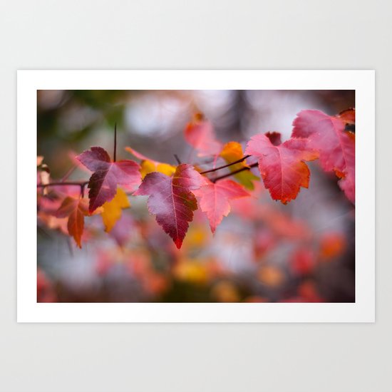 Red Art Print
