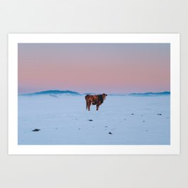 Winter Cow Art Print