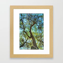 Branching Framed Art Print