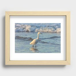 Snowing Egret Hunting Recessed Framed Print
