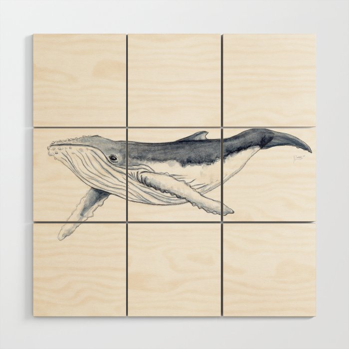 Baby humpback whale (Megaptera novaeangliae) Wood Wall Art