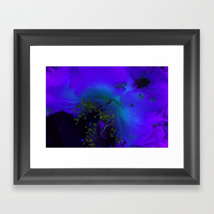 Fluorescent Flower I Framed Art Print