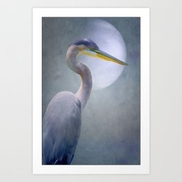 Portrait Of A Heron Art Print