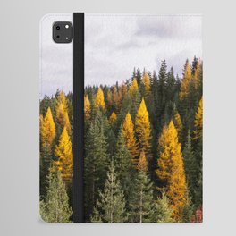 Mountain Tamarack in Autumn iPad Folio Case