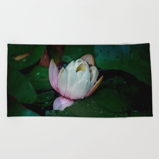 Water lily Beach Towel
