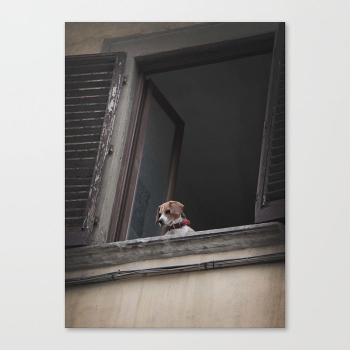 take me with you _ Beagle in a window Canvas Print