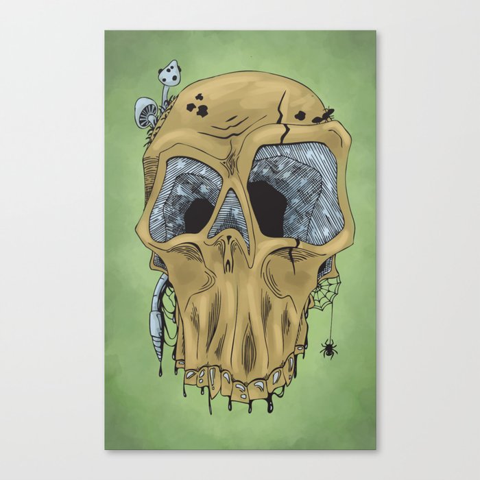 Weathered Skull Canvas Print
