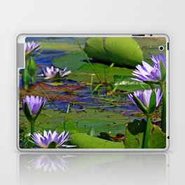 South Africa Photography - Lily Leaves And Flowers In The Water Laptop Skin