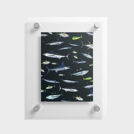 Fish Mix: Vol. 2 Night Vision- wahoo, bigeye, yellowfin, bluefin tuna, blue marlin, white marlin, mahi-mahi, swordfish Floating Acrylic Print