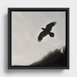 Raven Corvid Bird Northwest Mist Fog Forest Beach Landscape Oregon Framed Canvas