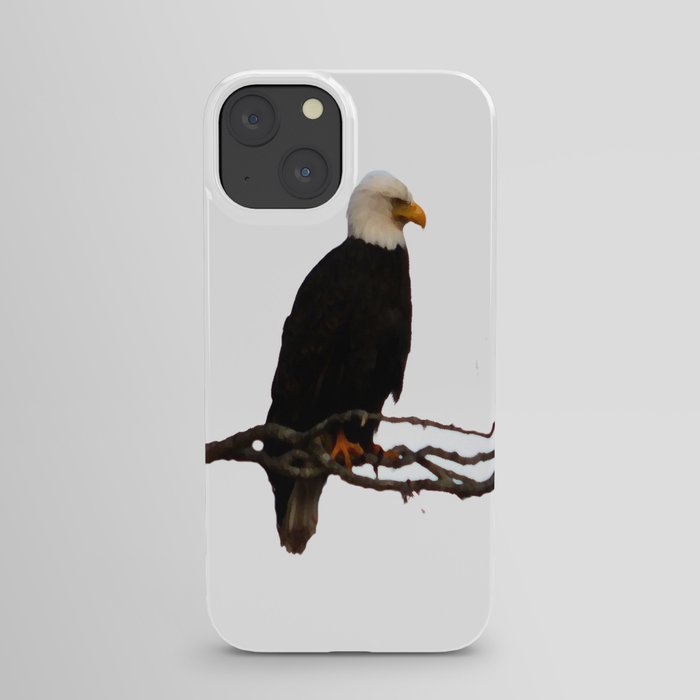 EagleView II iPhone Case