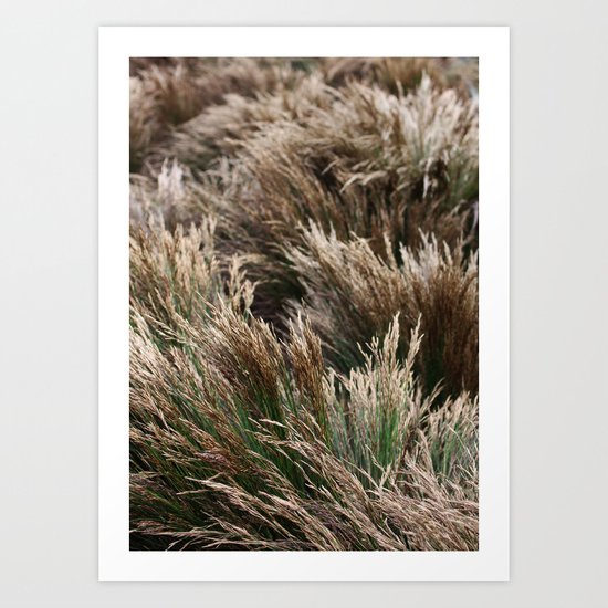 Restio Art Print