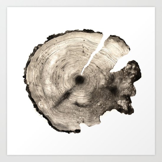 cross-section II Art Print