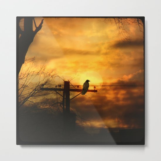 Crow At Dusk Metal Print