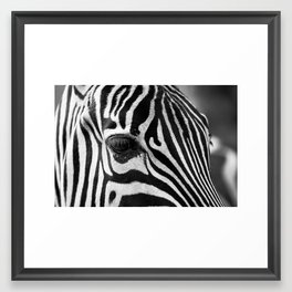 Zebra Portrait Framed Art Print | Portrait, White, Minimalist, Black, Retro, Original, Striking, Photo, Film, Stripes 