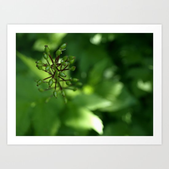Never Loose Focus. Art Print