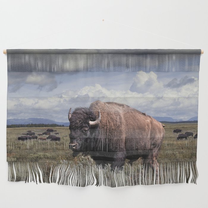 American Buffalo or Bison in the Grand Teton National Park Wall Hanging