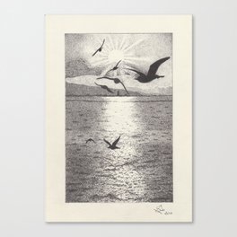 Seagulls - Pen and Ink Illustration Canvas Print