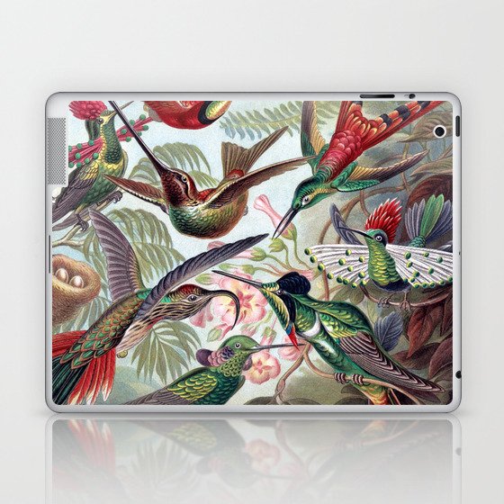 Hummingbirds Laptop & iPad Skin