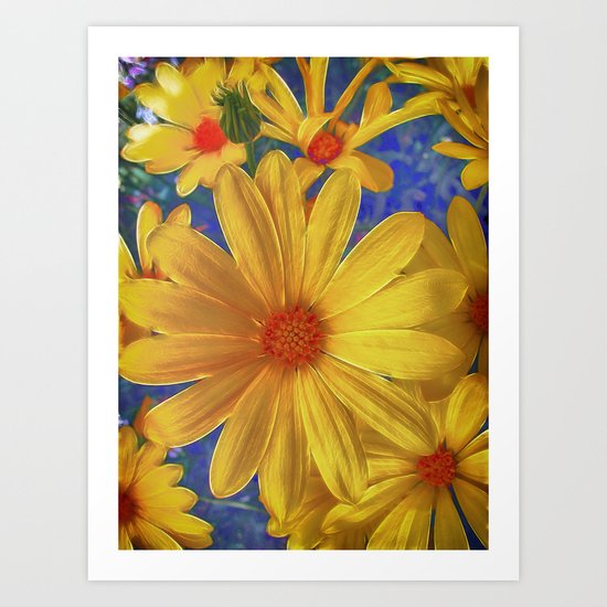 Daisy Delight Art Print