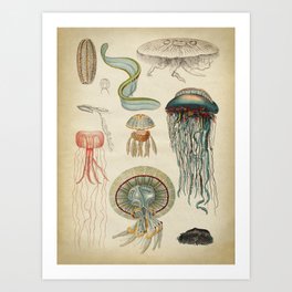 Jellyfishes from the Deep Sea Art Print