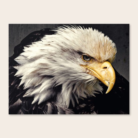 The Veteran Canvas Print