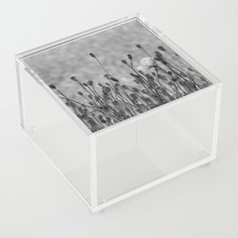 pale poppy in b&w 2 Acrylic Box