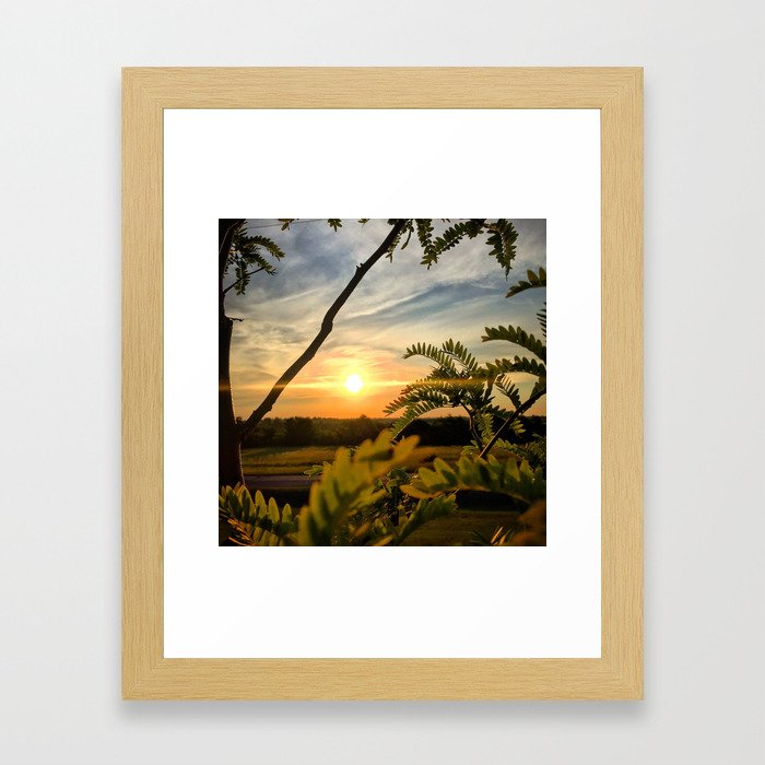 Sunrise through the trees Framed Art Print