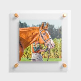 Horse head photo closeup Floating Acrylic Print