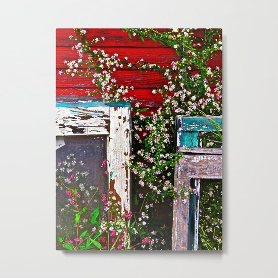 Window Flowers Metal Print