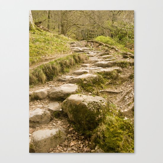 Stone path Canvas Print