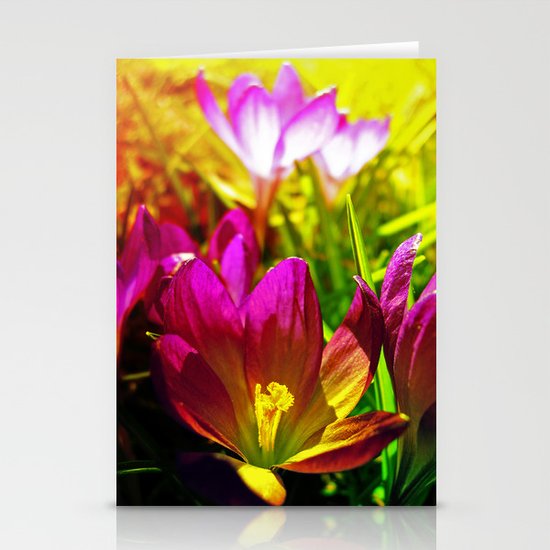the day after Stationery Cards