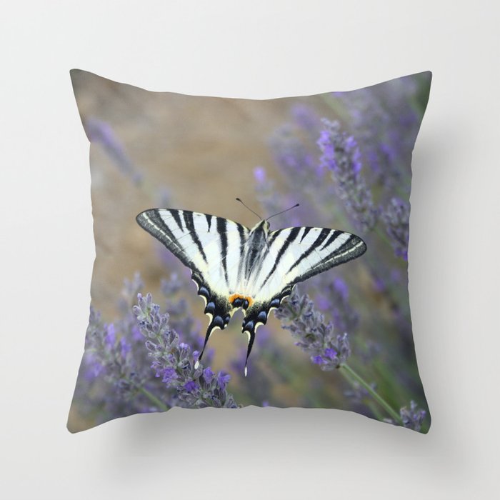Stunning Swallowtail On Lavender Spike Photograph Throw Pillow