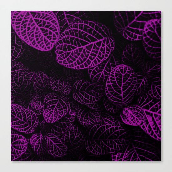 Tropical Purple Leaves Canvas Print