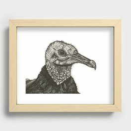 Black Vulture Recessed Framed Print