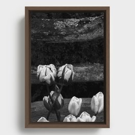 Tulip Festival 2022: Roozengaarde "Gemini Bloom" Framed Canvas