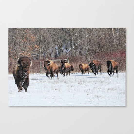 Running Wild Canvas Print