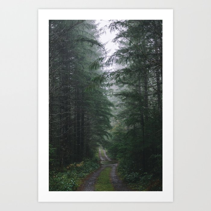 Foggy Forest Art Print By Millivedder Society6 Foggy Forest Art Print By Millivedder Society6
